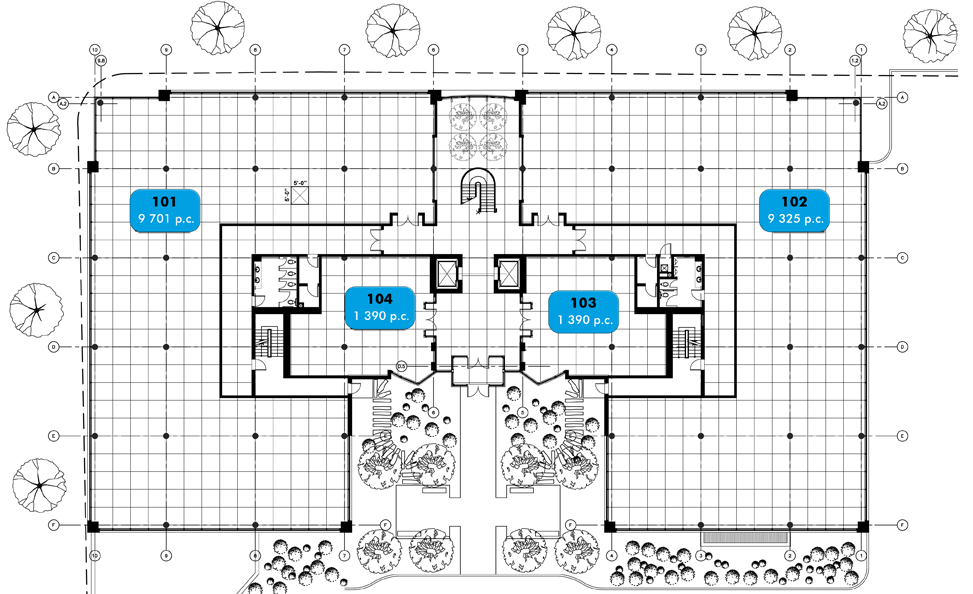 plan du 1iere etage